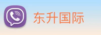 东升国际 Logo